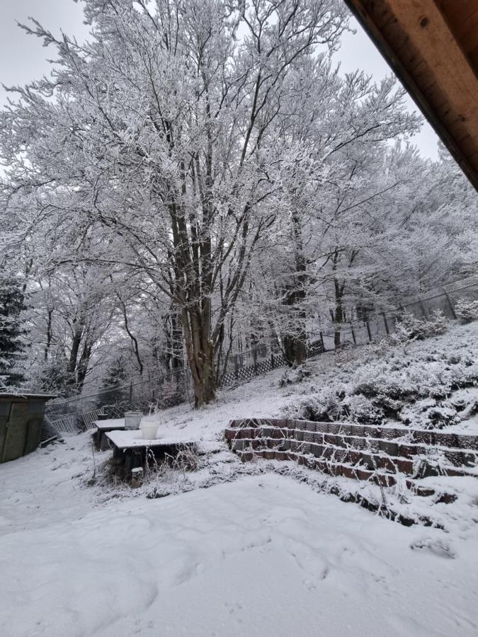 Ferienwohnung Schneeberg Stryck Extérieur photo